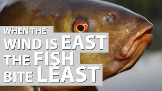 When the wind is in the East, the Fish Bite Least