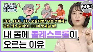 LDL, HDL, TG, 중성지방? 다 무슨뜻일까? 밥은 죄가 없어요! OO이 문제일 뿐! 🔴내 몸에 콜레스트롤이 오르는 이유 [이지향 약사의 무엇이든 물어보약 5화 FULL버젼]