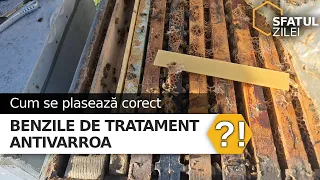 Cum se plaseaza corect benzile de tratament antivarroa ?!