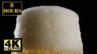 Beer Glass Background Wallpaper Screensaver 8 HOURS 4K With Music