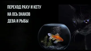 Транзит Кету и Раху по оси знаков Дева/Рыбы - осмысляя хаос или в поисках нового смысла