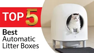 Top 5 Best Automatic Litter Boxes for Cats in 2024