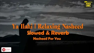 Ya Ilahi | Relaxing Nasheed | Slowed and Reverb | Nasheed For You