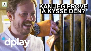 Jan Thomas og Einar blir venner | Jan Thomas og Einar får mate bjørner | discovery+ Norge