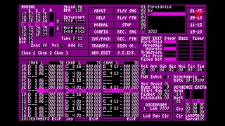 Pareidolia + MadMax megamix by AD (Atari ST maxYMiser music)