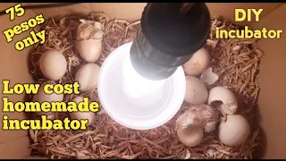 How to make homemade incubator || Paano gumawa ng incubator || #DIY