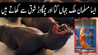 World Scariest Meat Market |Tomohon Market | Indonesia's Sulawesi Tomohon Extreme Market |Urdu-Hindi