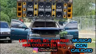 Luis Miguel Del Amargue - Niña Coqueta En Vivo (MÚSICA CON CALIDAD PARA CHIPEO)