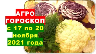 Агрогороскоп с 17 по 20 ноября 2021 года