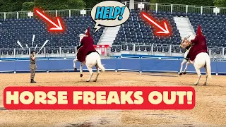 King's Guard Horse Freaks Out and Calls for Help!