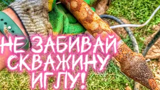 НЕ ЗАБИВАЙ АБИССИНСКУЮ ИГЛУ! ПОКА НЕ ПОСМОТРИШЬ ЭТО ВИДЕО!