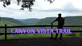 Canyon Vista Trail ~ Worlds End State Park, PA