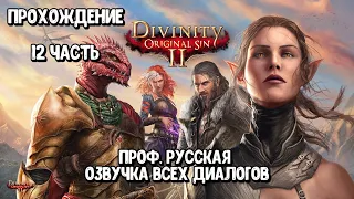 Прохождение 12: Divinity: Original Sin 2 - Проф. Русская Озвучка Всех Диалогов