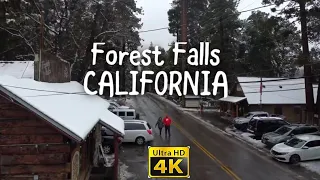 Forest Falls - 4K Drone Footage 🚁 California 🇺🇸 USA 🍾 Flight 5