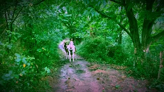 Hiking from San Sebastian