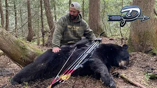 NEW BRUNSWICK BEAR WITH A RECURVE - Traditional Bowhunting - The Push Archery - Season 3 Episode 18