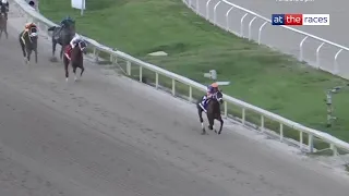 FIERCENESS dominates in the Grade 1 Florida Derby!