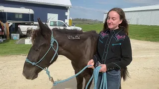 2021 Equine Affaire Mustang Challenge Pattern Class