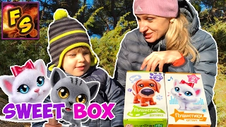 Распаковка Свит Бокс Пушистики Котята и Собачки Sweet Box новая коллекция. Видео для детей