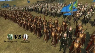 Third Age: Total War (Reforged) - WEAK AT THE NECK (1v1 pitch)