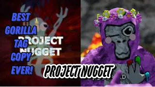 The BEST Gorilla Tag Copy with MODS!?! (Project Nugget)