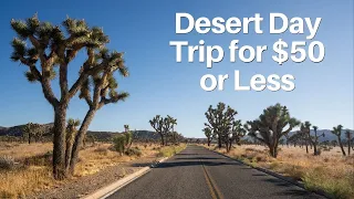 Desert Day Trip for $50 or Less