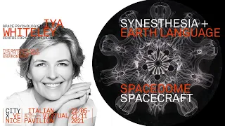 Space Psychology + Earth Language + Synesthesia + Spacedome, Venice Biennale