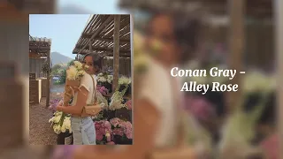 Alley Rose - Conan Gray (Sped Up)
