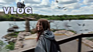 VLOG/ Парк Малинки 💗