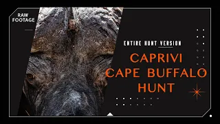 "Thrilling Safari Expedition: Jay Presti's Cape Buffalo Hunt in the Untamed Caprivi Strip!"