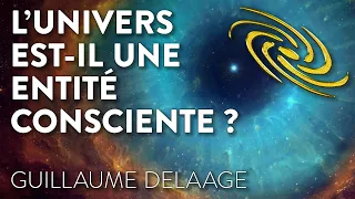 L'UNIVERS EST IL UNE ENTITÉ CONSCIENTE ?