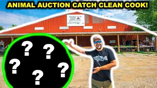 ANIMAL AUCTION Catch Clean Cook CHALLENGE!!!