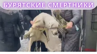 Бурятские смертники Спасаем всей страной