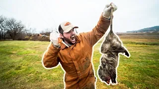 NASTY Possum CATCH CLEAN COOK!!! (GRAPHIC)