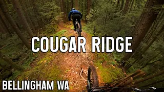 Cougar Ridge - Bellingham Mountain Biking