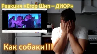 Реакция на Егор Шип -  Диор (Как собаки!!!)