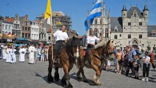 Belgian Draft Horses and historical buildings of  Mechelen