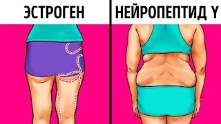 Как Перехитрить Гормоны, Отвечающие за Набор Веса