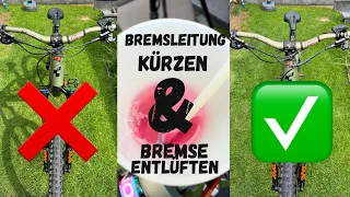 Bremsleitungen am EMTB / MTB kürzen und Bremse entlüften ! Schritt für Schritt Anleitung !