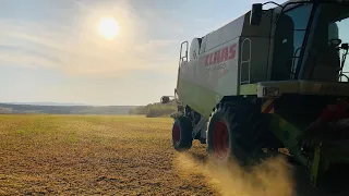 Уборка сои 2019!! CLAAS LEXION 460