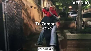 Tu Zaroori (SPED UP/NIGHTCORE) | Sunidhi Chauhan & Sharib Sabri | COLD HEART