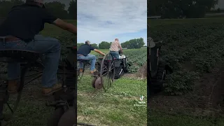 Hilling up the potatoes in the garden. #garden #atv #potatos #tracks #honda