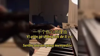 yi qian ge shang xin de li you ( 一千个伤心的理由 /karaoke  terjemahan indo/pinyih