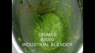 Vegetable Blender Machine, Orimas B8000