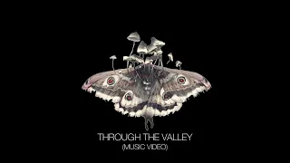 Through the Valley - The Last of Us Part II Covers and Rarities (Music Video)