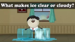 What makes ice clear or cloudy? | #aumsum #kids #science #education #children