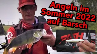 Angeln im Sommer 2022 auf Barsch mit neuen Ködern -FISHUS- ANGLERSCHWATZ - KANALBESCHREIBUNG LESEN 🙏