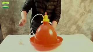 Poultry  Automatic Drinker | Chicken Drinking Bucket | Install and Use