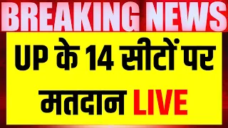 UP Lok Sabha Election 6th Phase Voting Live: यूपी के 14 सीटों पर मतदान | Azamgarh | Akhilesh Yadav