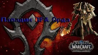 ГЕРОИКИ BFA ЗА ПРОТ-ПАЛА